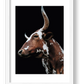 1592 — framed