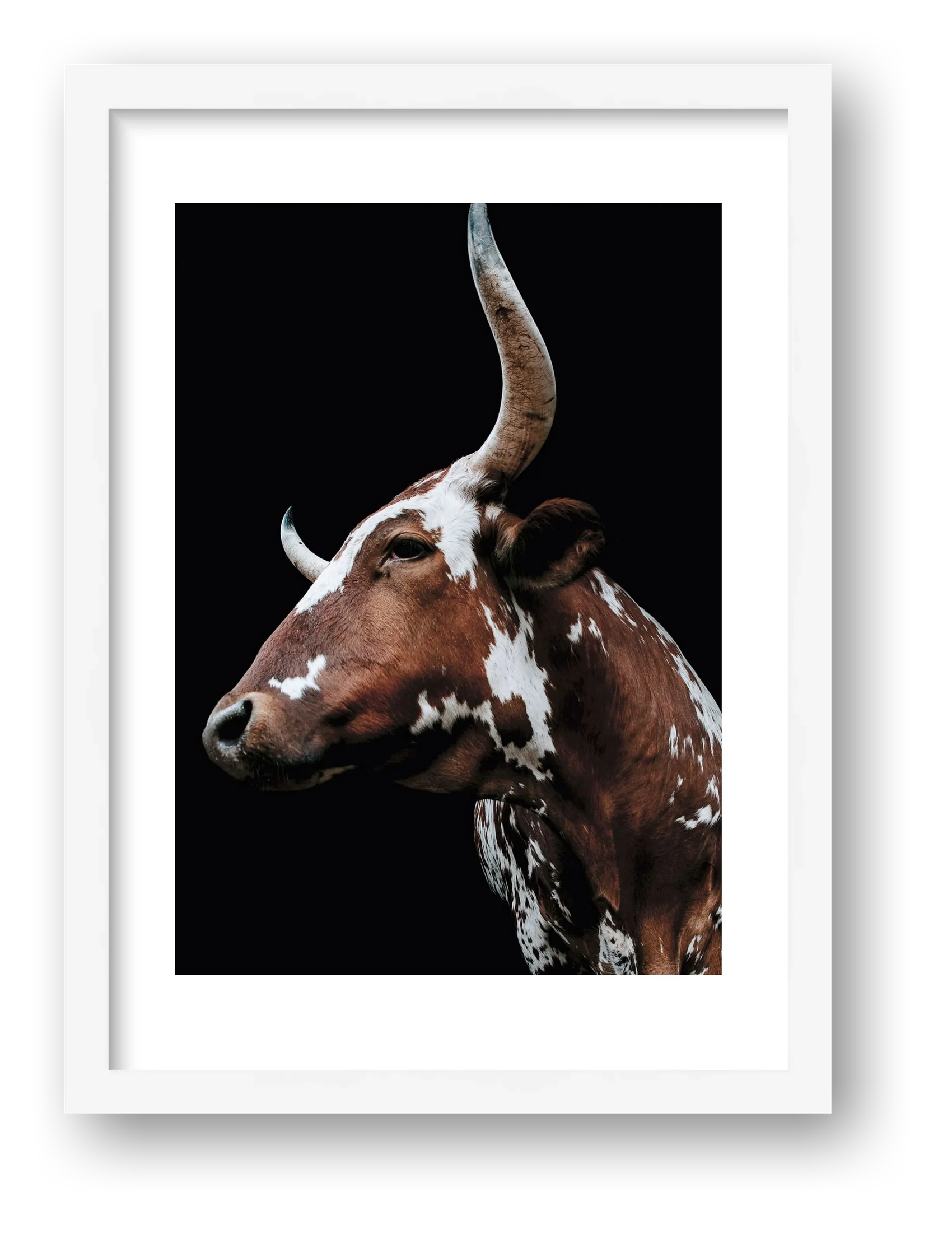 1592 — framed