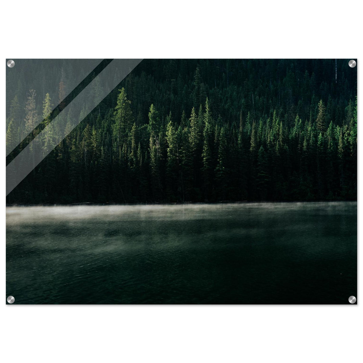 c6513402-e98a-43ae-9458-e70d5d89401e