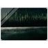 Quartz Lake misty evergreen forest 