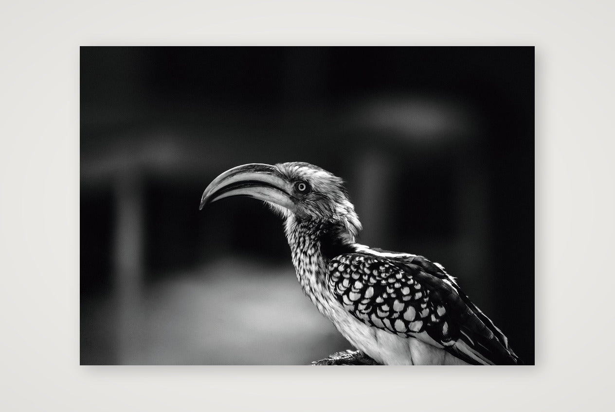 482 — 84×59cm, 33×23" Print only