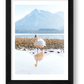 479  — framed