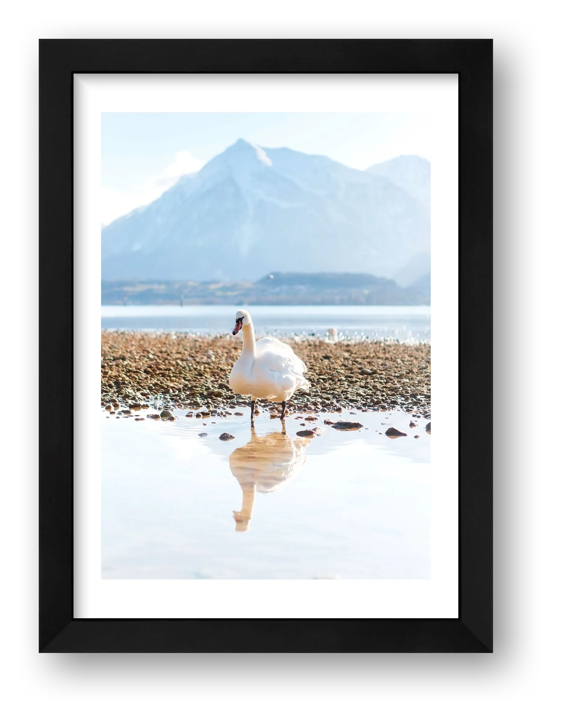 479  — framed