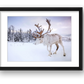 63 — framed