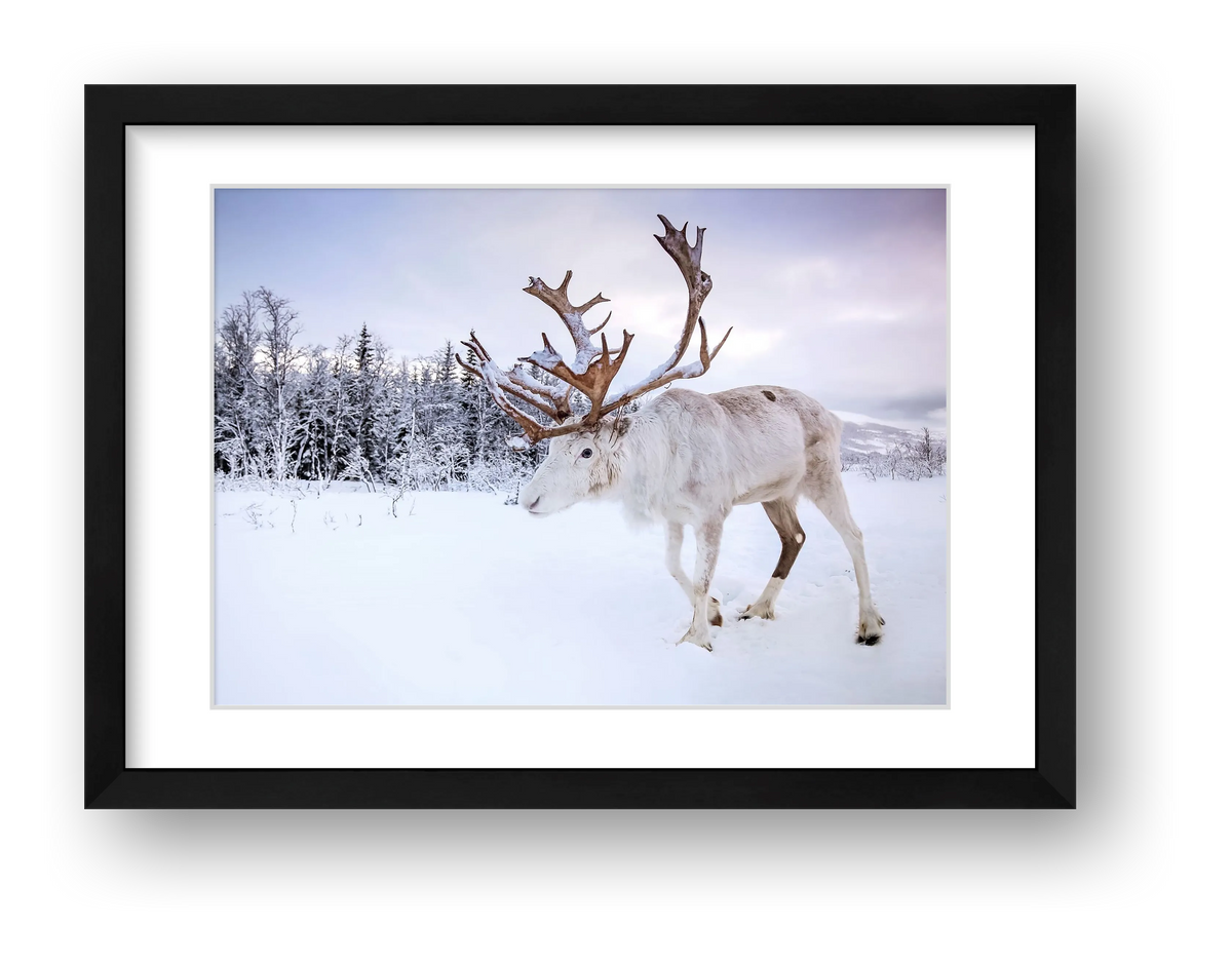 63 — framed