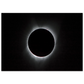 c812de20-9b3a-4bbc-84d6-626505a9ae37