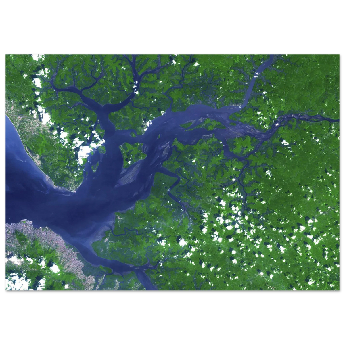 Unframed poster showing branching green and blue waterways in the Sierra Leone estuary seen from space