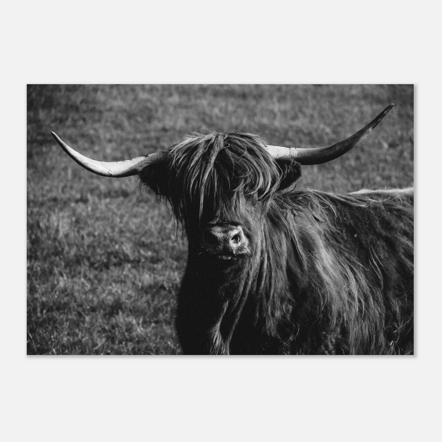 c93298f9-cc7d-4c5c-aa36-5c7a4f0be268