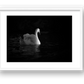 32 — framed