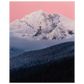 ca4915d1-dcb8-47a0-9b5c-e41ab5561c5a