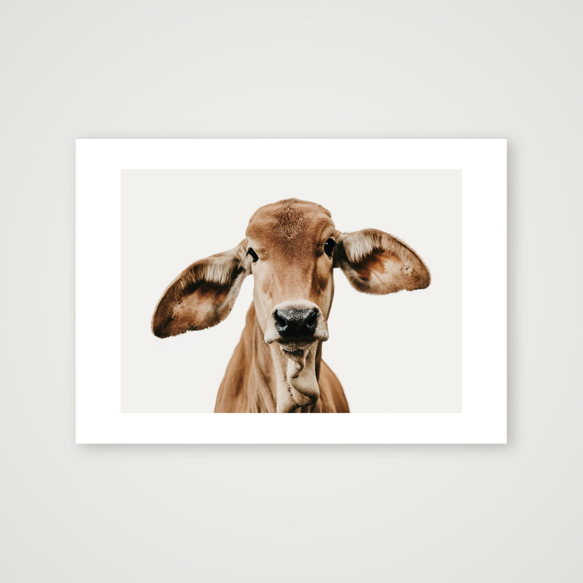 1317 — A4 (30×21cm, 12×8") Print only
