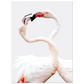 cadbfcd1-fa85-4366-930e-ee6ebc570efd