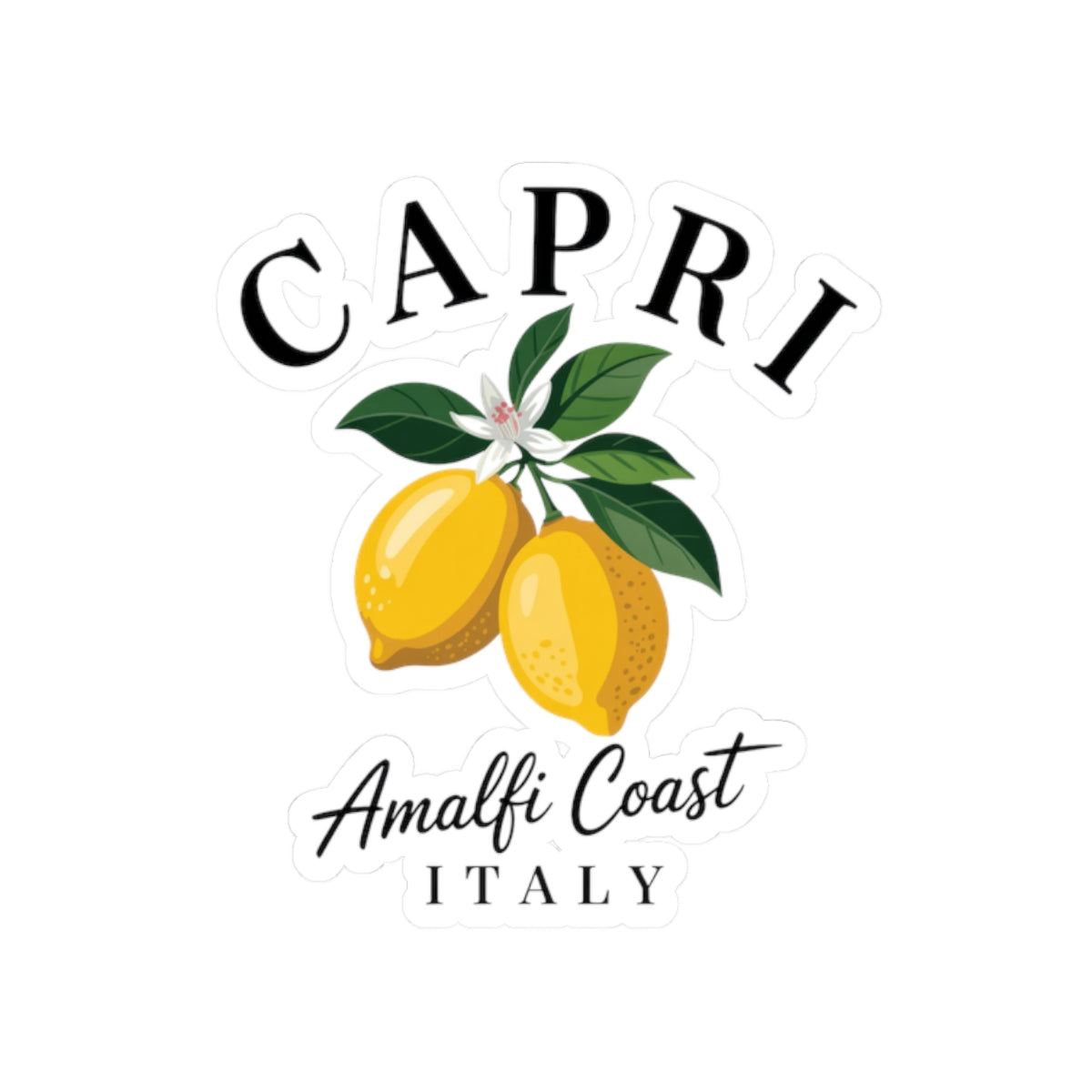 Capri Decal Italy Lemon Sticker Amalfi Coast Travel Decal Mediterranean Sticker For Friend Italy