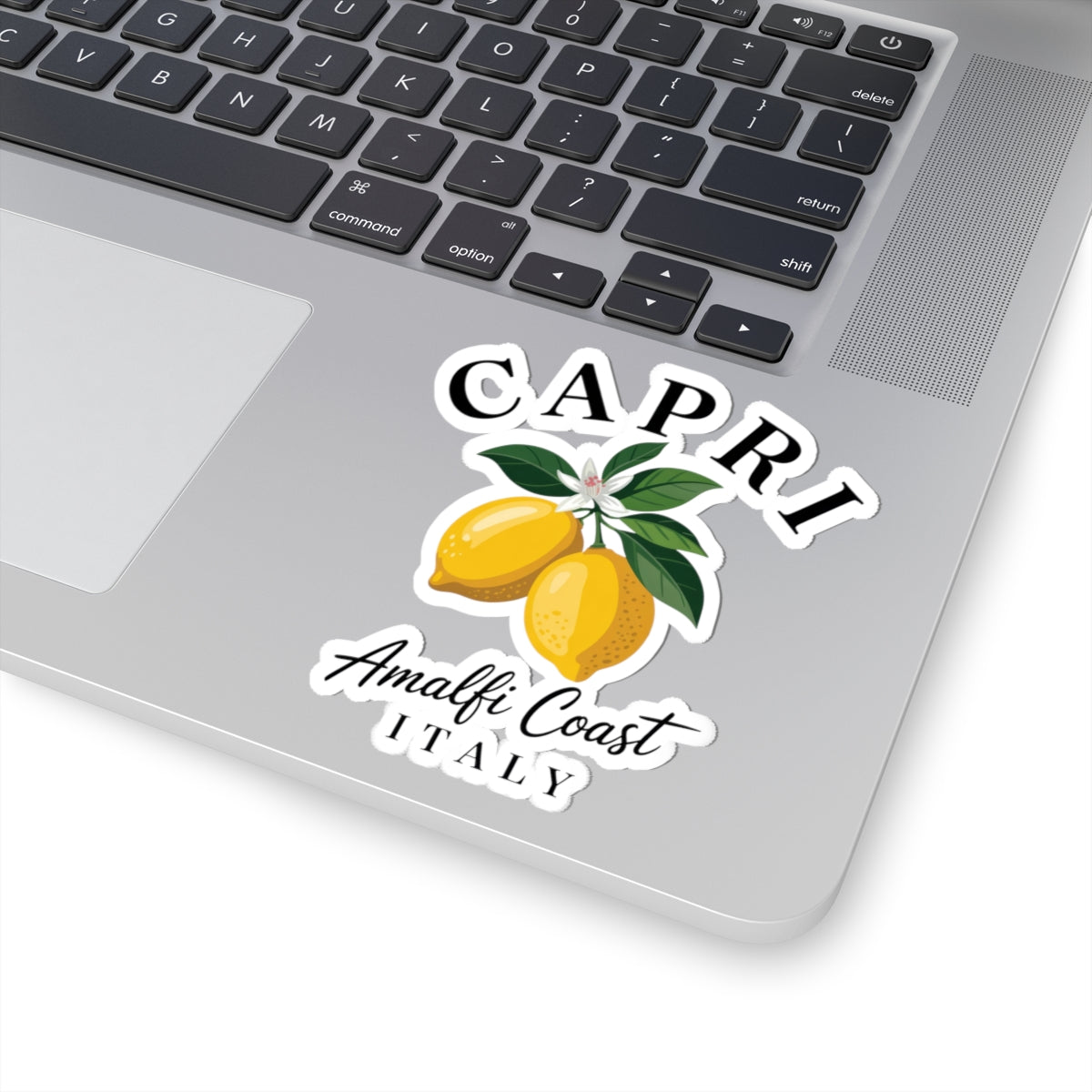 Capri Decal Italy Lemon Sticker Amalfi Coast Travel Decal Mediterranean Sticker For Friend Italy – product image 2