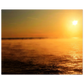 cbc18f41-8aef-4705-9e69-4b1746e23c32