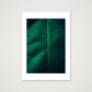 11 — A3 (30×42cm, 12×17") Print only