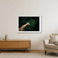 433 — 84×59cm, 33×23" White Frame