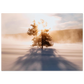ce7ee9d8-1e11-4b45-afd5-eb321273885c