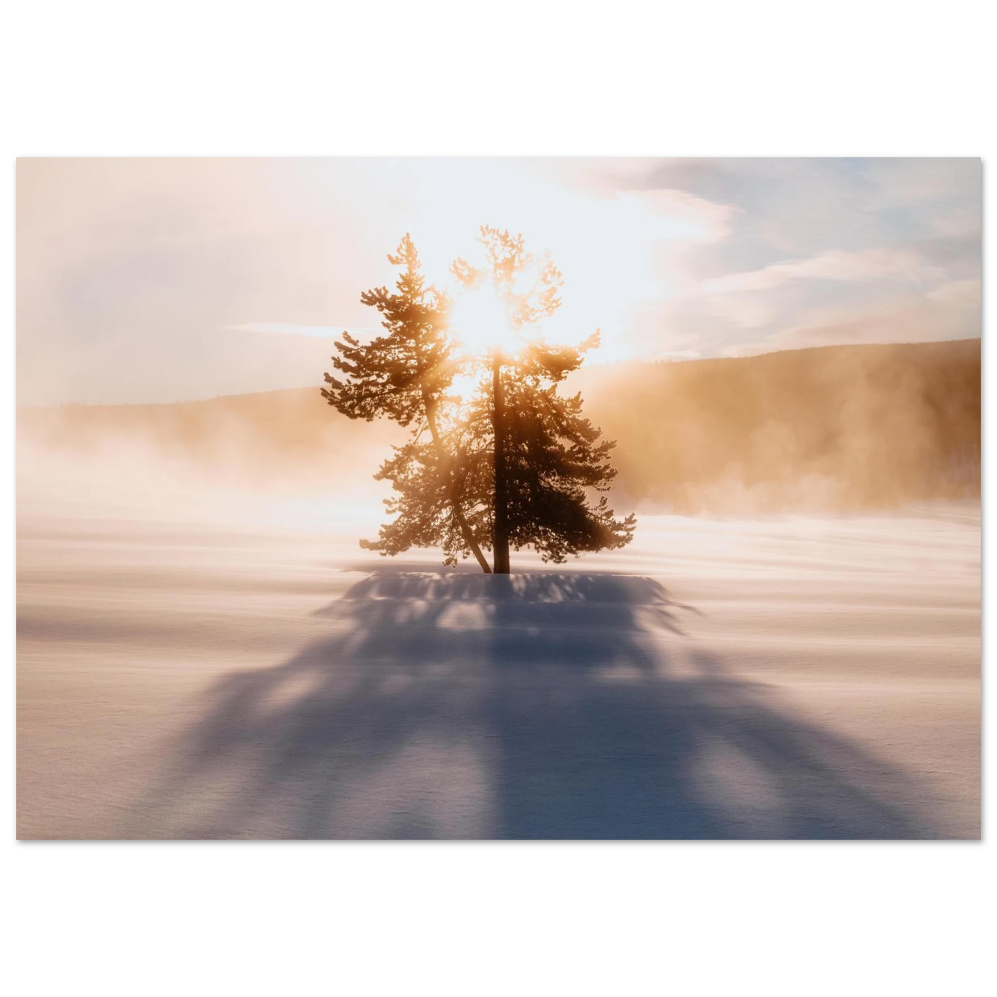 ce7ee9d8-1e11-4b45-afd5-eb321273885c