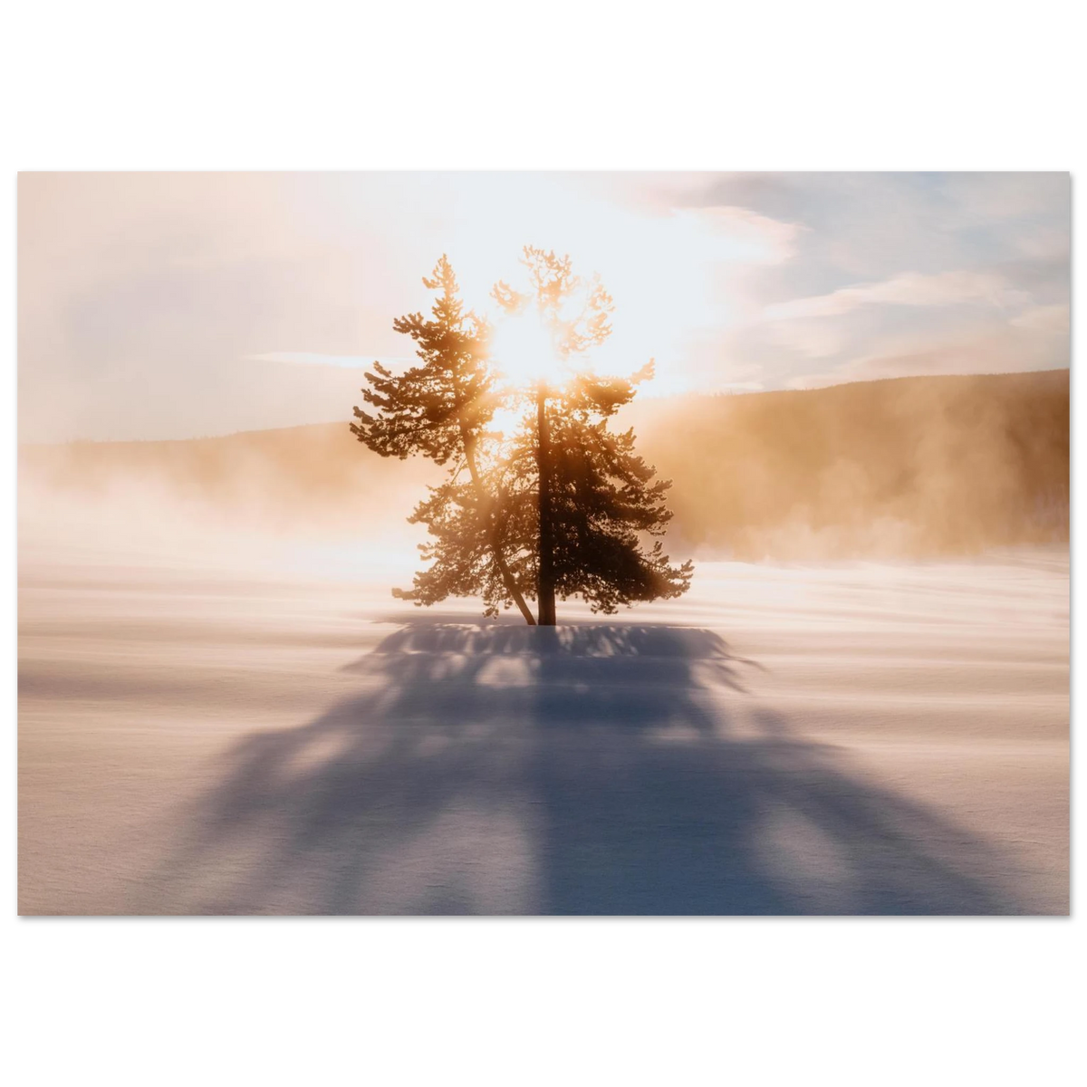 ce7ee9d8-1e11-4b45-afd5-eb321273885c