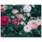 ceceb11a-5b2c-402d-80d4-0aaed1f88775