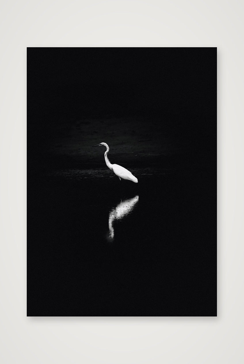 492 — A4 (21×30cm, 8×12") Print only
