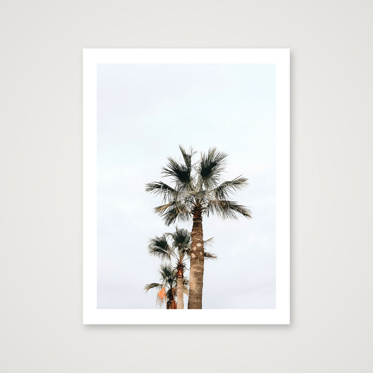 2 — 60×80cm, 24×31" Print only