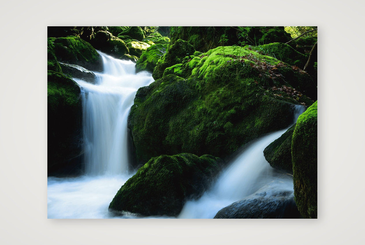 40 — 59×42cm, 23×17" Print only