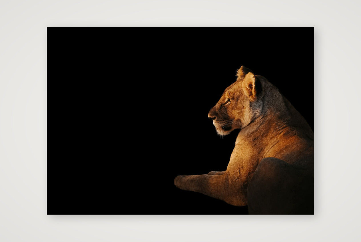 89 — 84×59cm, 33×23" Print only