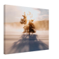d14ee4e0-e162-4558-964e-b4e3b58c9c30