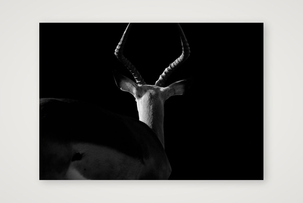 121 — 84×59cm, 33×23" Print only