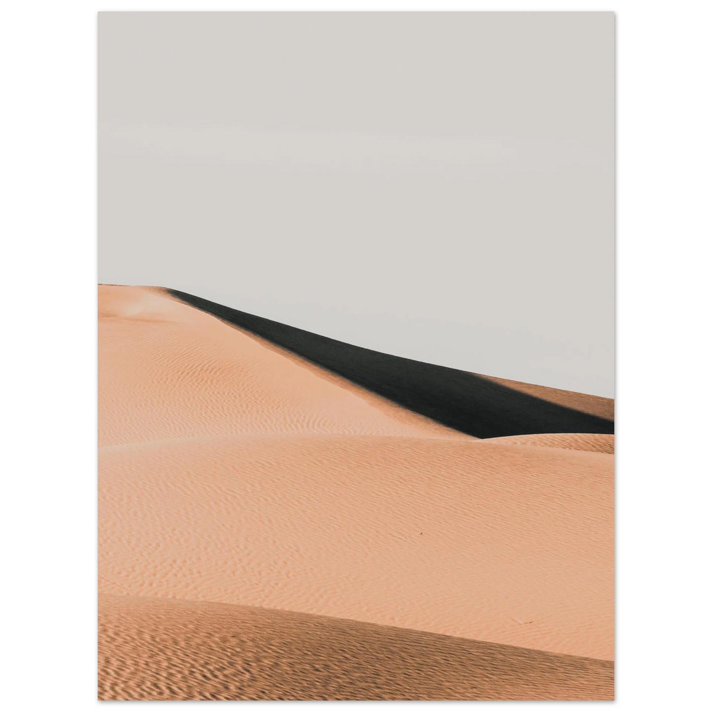 d2bdbd48-a7d0-4a7a-9372-203541ef620a