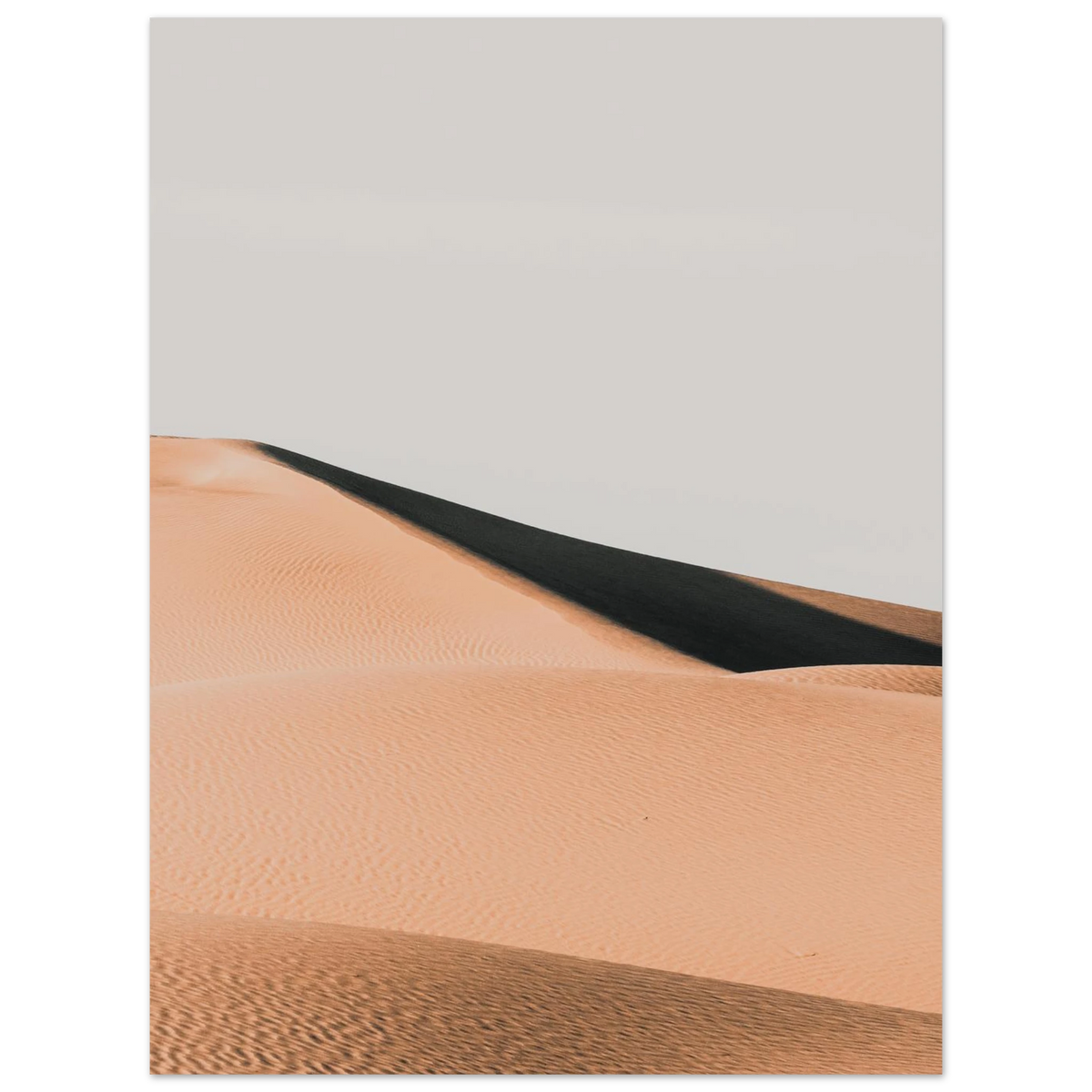 d2bdbd48-a7d0-4a7a-9372-203541ef620a