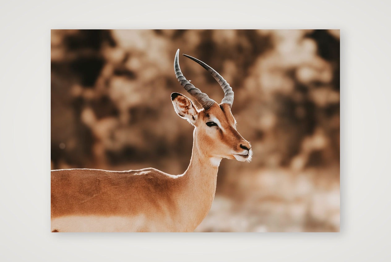 444 — 84×59cm, 33×23" Print only