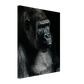 d3033d65-77f5-4ee7-b0f6-b30f8ad87c30