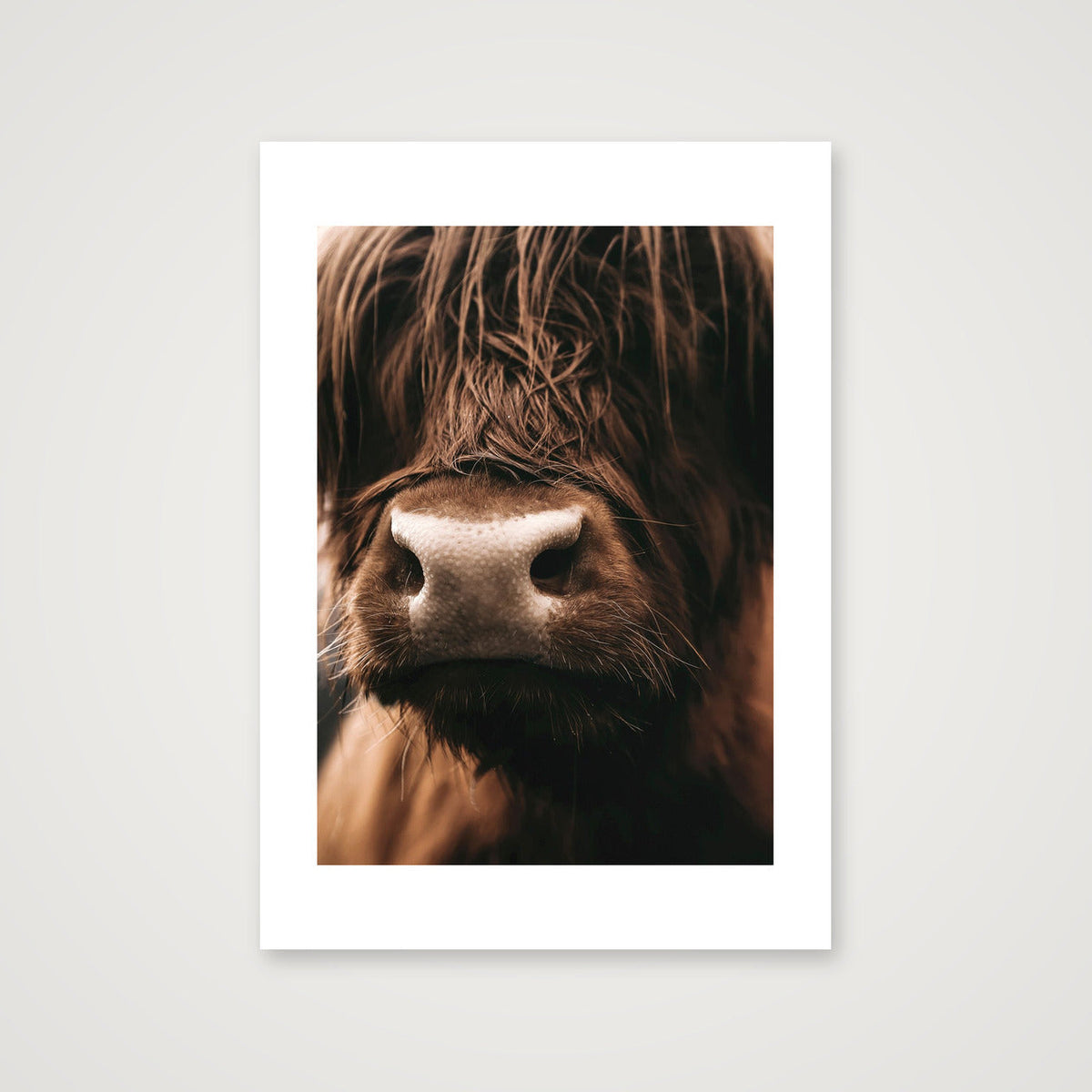 1585  — A4 (21×30cm, 8×12") Print only