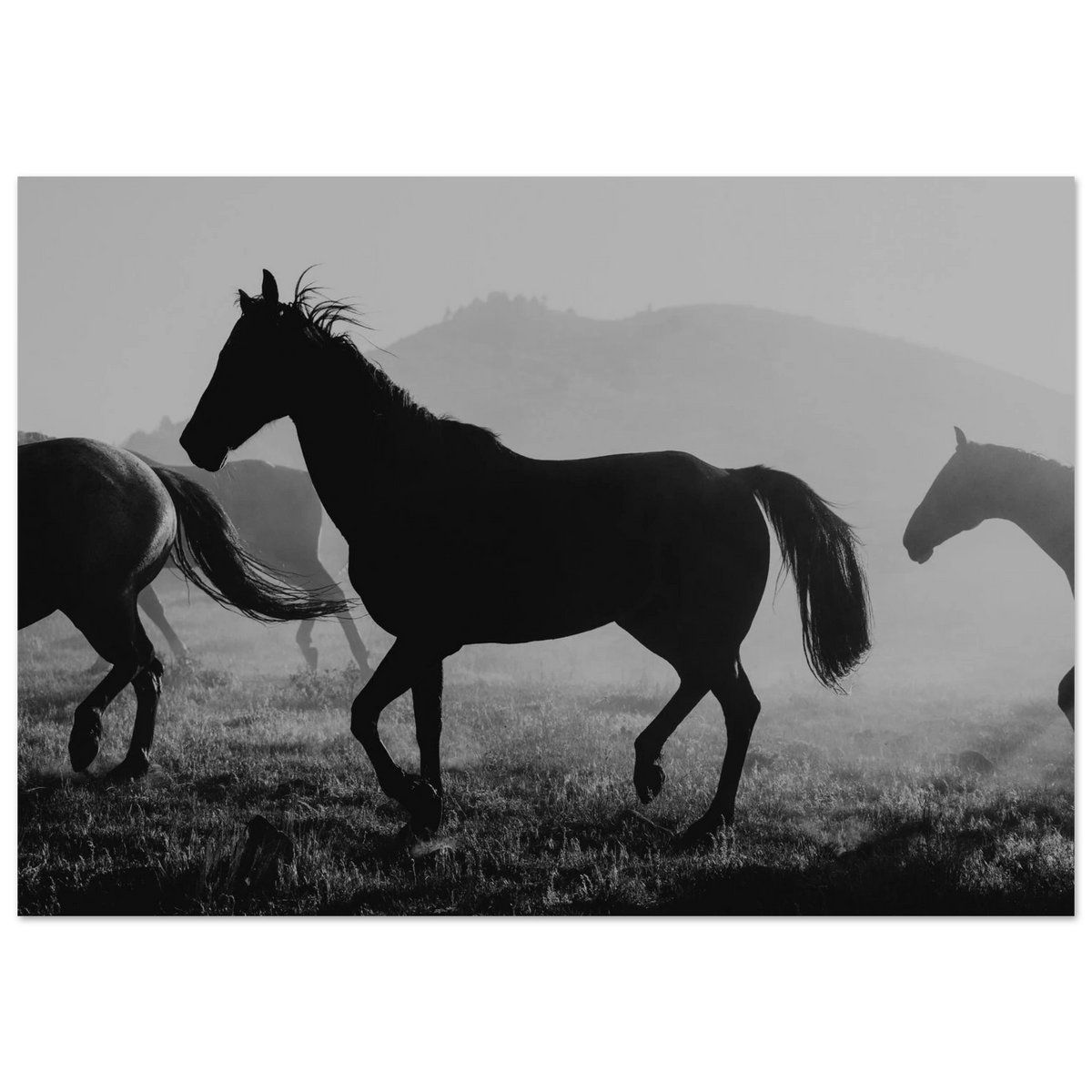 d36f995f-d7d6-4289-a600-679f257e0642