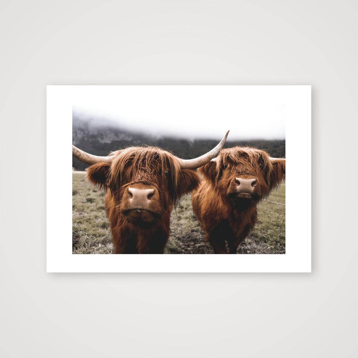 20 — A3 (42×30cm, 17×12") Print only