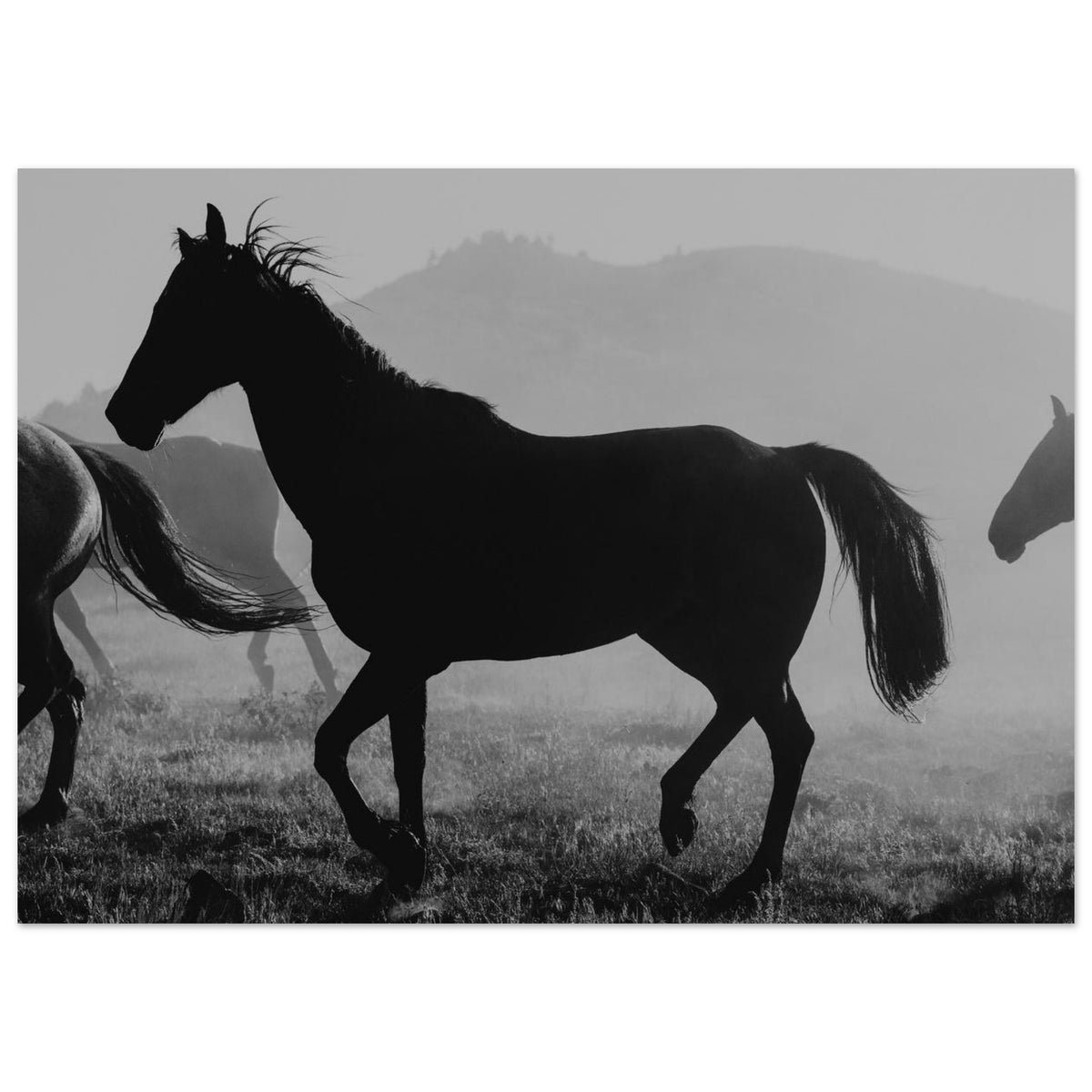 d3f27be9-7f34-4e08-8ebf-936b4468dffa