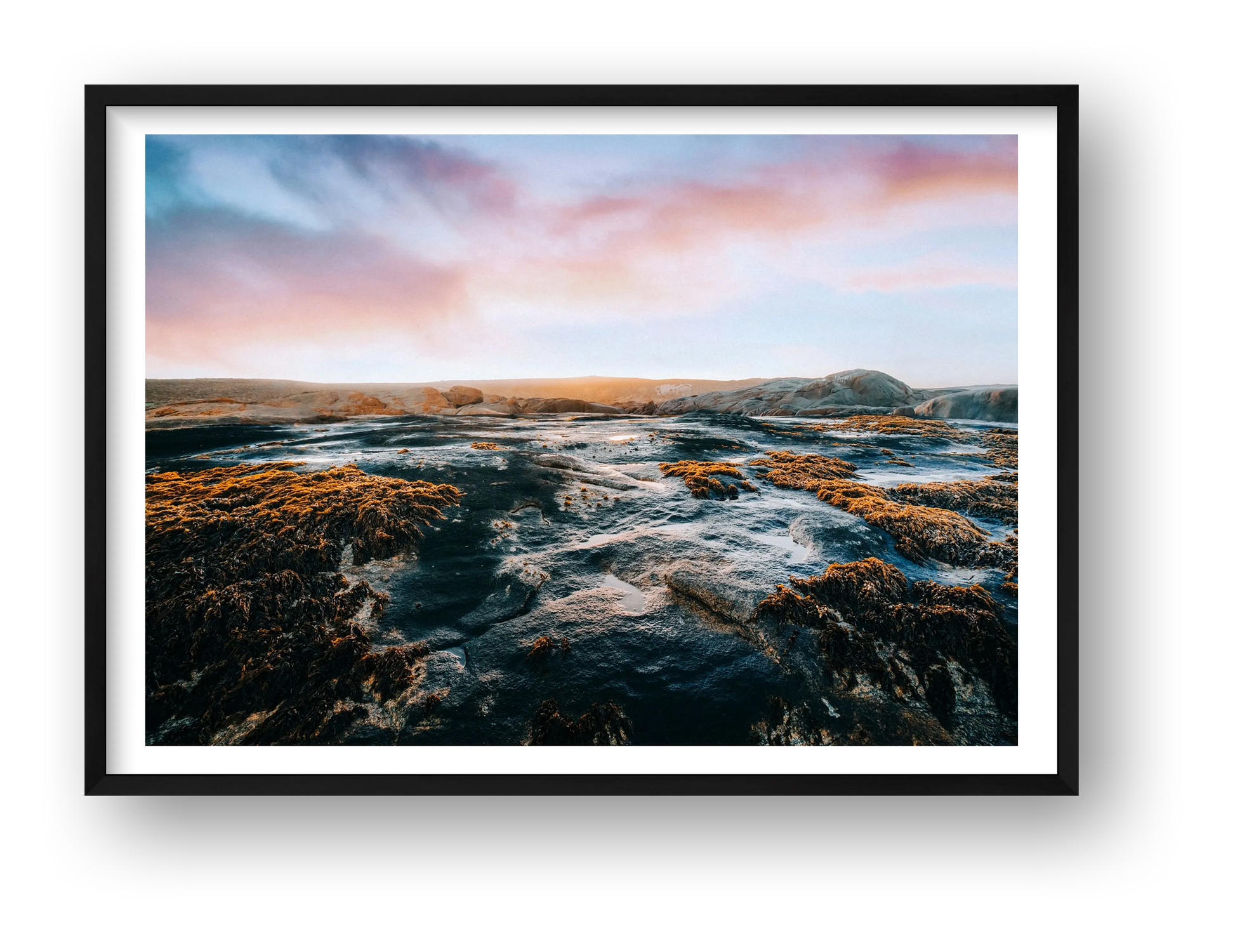 429 — framed