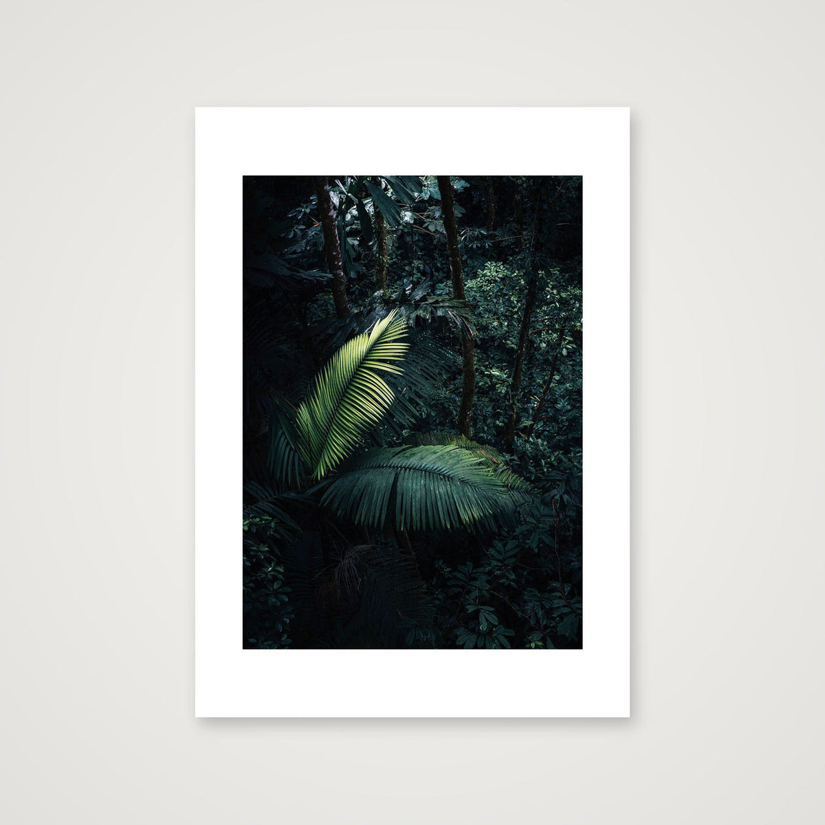 1218 — 42×59cm, 17×23" Print only