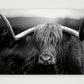 1586 — A3 (42×30cm, 17×12") Print only