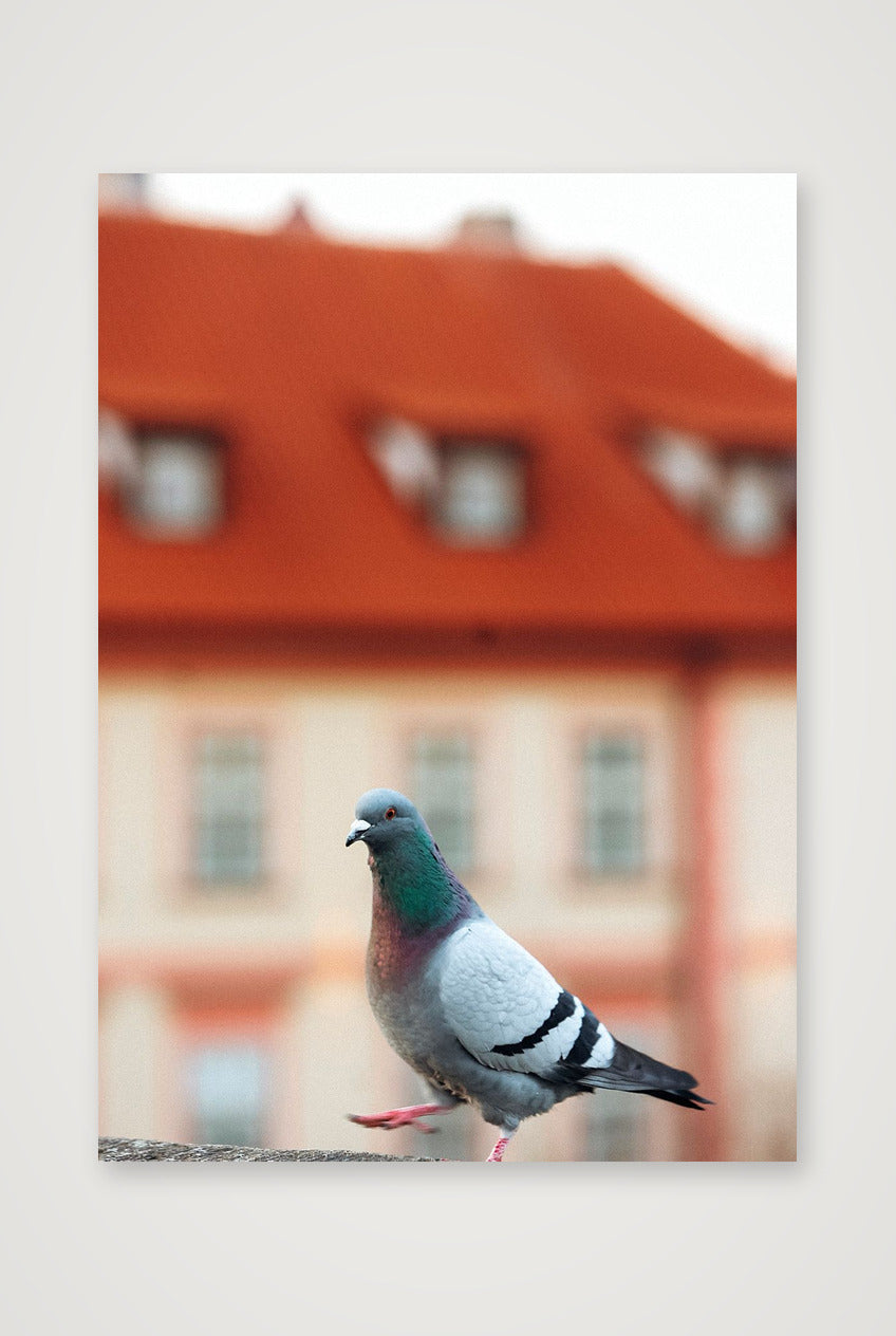468 — A3 (30×42cm, 12×17") Print only