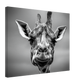 d626ea47-d3c0-43a7-a528-d63da2d3b27c