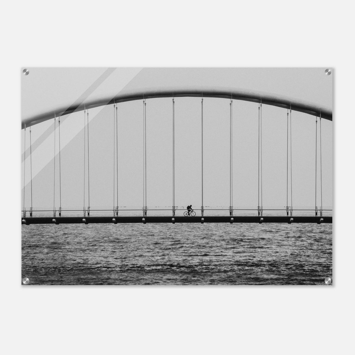 d6356b39-4cff-45f9-a8f0-1b9bbd63ea57