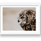486 — framed