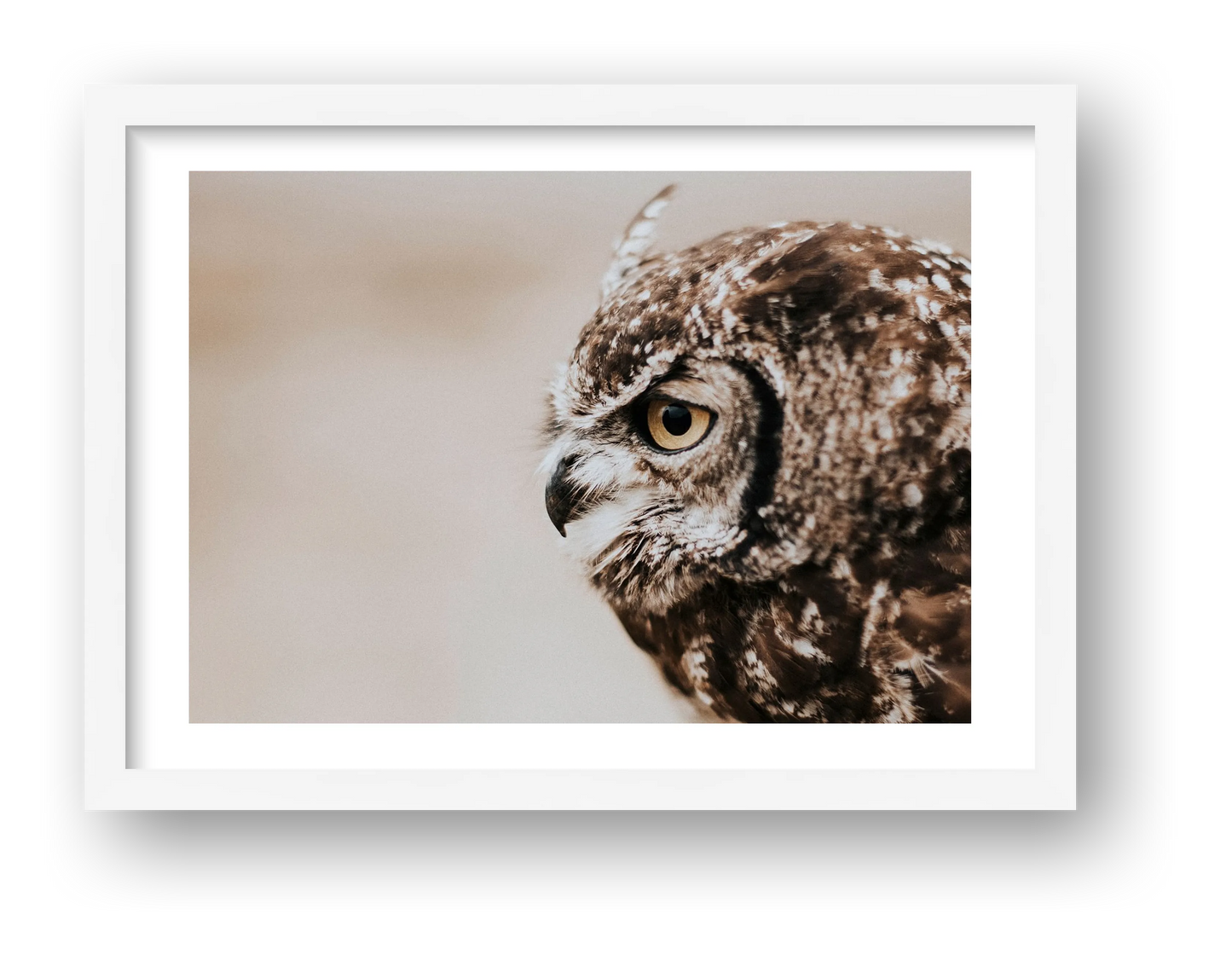 486 — framed