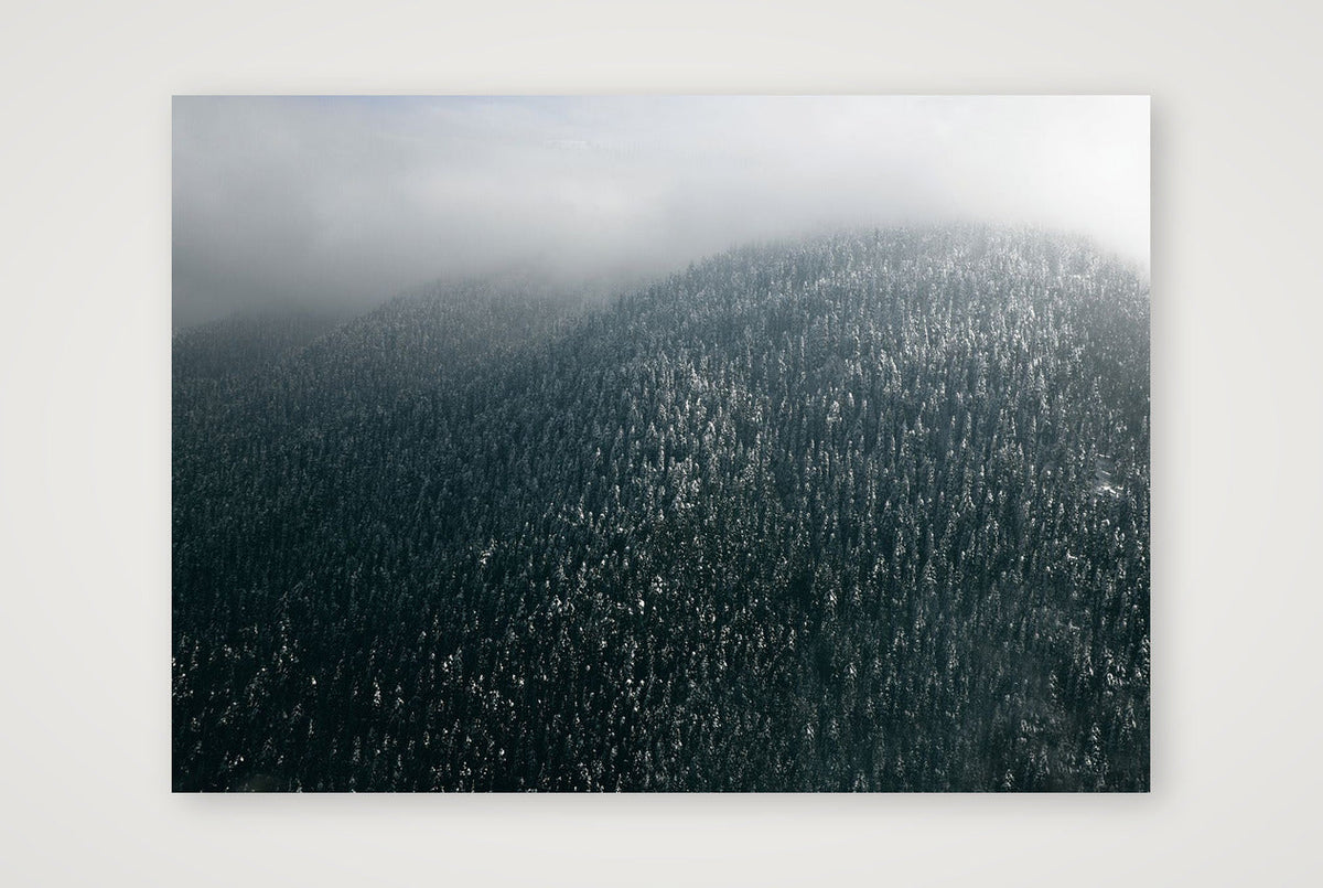 13 — 59×42cm, 23×17" Print only