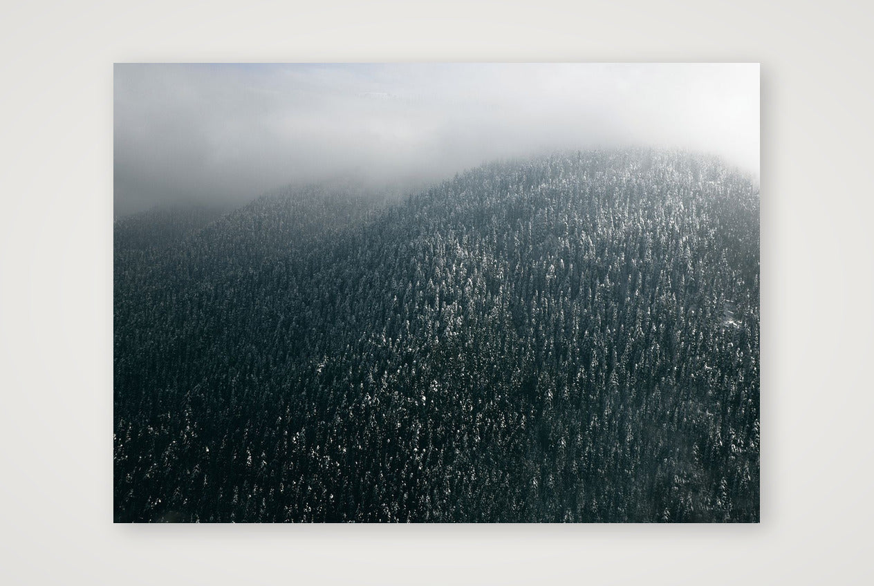 13 — 59×42cm, 23×17" Print only