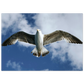 d70e3fee-900d-4f5d-874c-044fa2714742